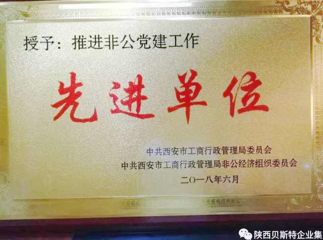 热烈祝贺GA黄金甲精品综市党支部荣获西安市工商行政管理局非公“先进单位”党组织